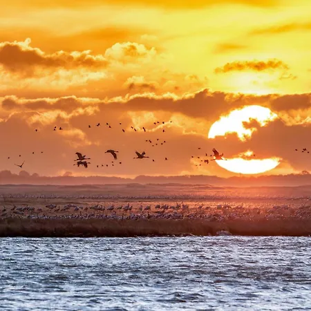 公寓 Storchenflug - Dachgeschosswohnung Mit Kamin & Balkon Am Fleesensee *