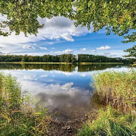 公寓 Storchenflug - Dachgeschosswohnung Mit Kamin & Balkon Am Fleesensee 高恩莱宾