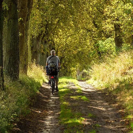 Storchenflug - Dachgeschosswohnung Mit Kamin & Balkon Am Fleesensee *